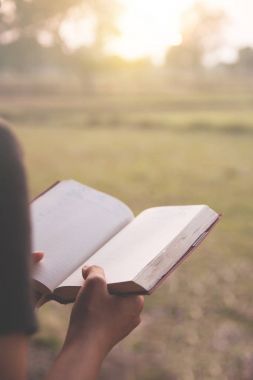 Kız kırsal arka plan üzerine bir kitap okuma. 