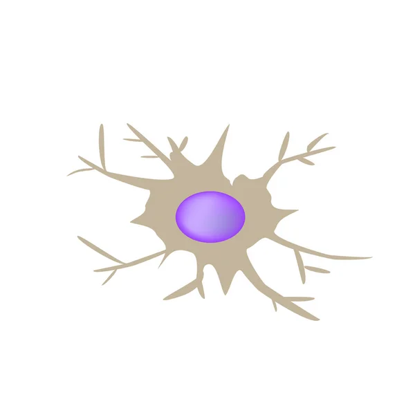 Dendritiska cellen immunitet. Infographics. Vektorillustration på isolerade bakgrund — Stock vektor