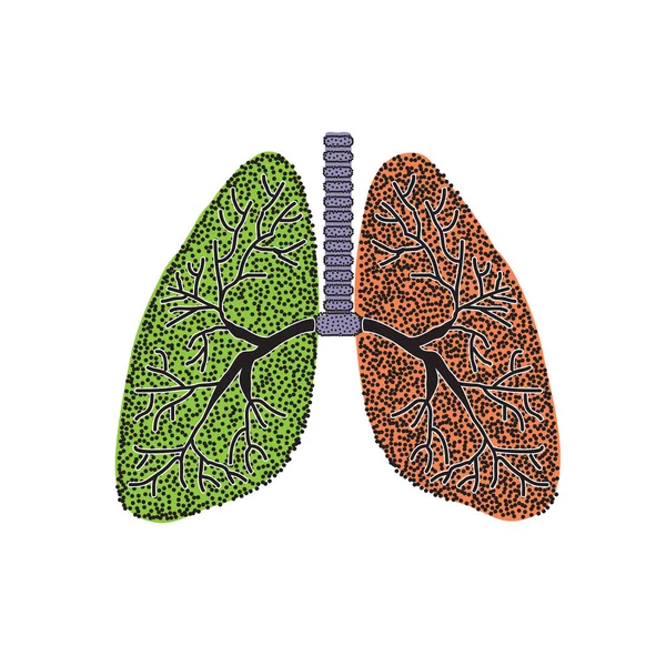 Pulmones. La estructura del pulmón humano. Ilustración vectorial sobre fondo aislado — Archivo Imágenes Vectoriales