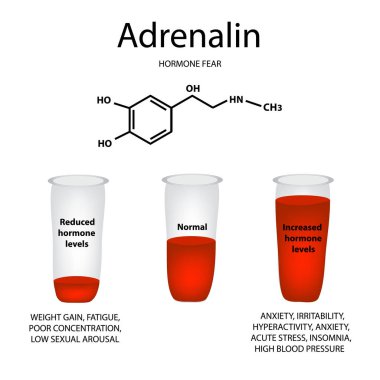 Chemical molecular formula of adrenaline hormone. Hormone fear and stress. Lowering and raising the level of adrenaline. Infographics Vector illustration clipart
