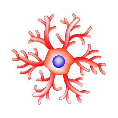 The structure of microglia. Neuron. Nerve cell. Infographics. Vector illustration on isolated background. clipart