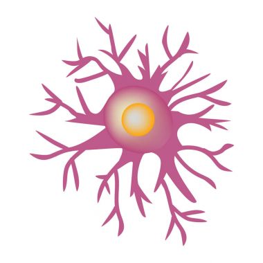 Astrocyte yapısı. Sinir hücresi. Infographics. Vektör illüstrasyon izole arka plan üzerinde.