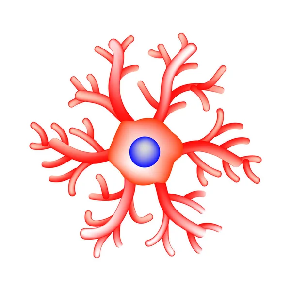 ミクログリアの構造。ニューロン。神経細胞。インフォ グラフィック。孤立した背景のベクトル図. — ストックベクタ