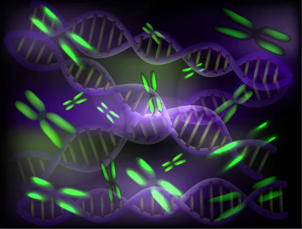 Antecedentes de cromossomas e moléculas de ADN. Ilustração vetorial . —  Vetores de Stock