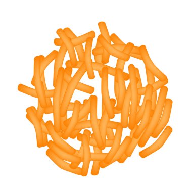 Clostridium difficile. Patojenik flora. Bakteri bağırsak hastalıkları neden olur. Infographics. Vektör çizim.