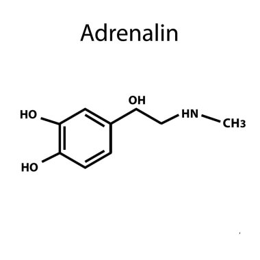 Adrenalin bir hormondur. Kimyasal formülü. Vektör illüstrasyon izole arka plan üzerinde