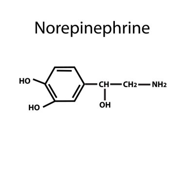 Norepinephrine hormone. Chemical formula. Vector illustration on isolated background clipart