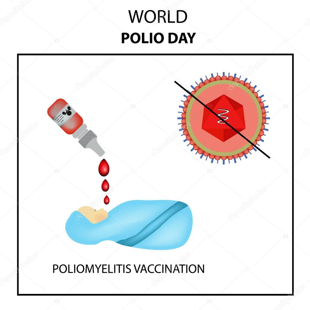 Vaccinations against poliomyelitis. World Polio Day. The oral polio vaccine OPV. Drops. Infographics. Vector illustration