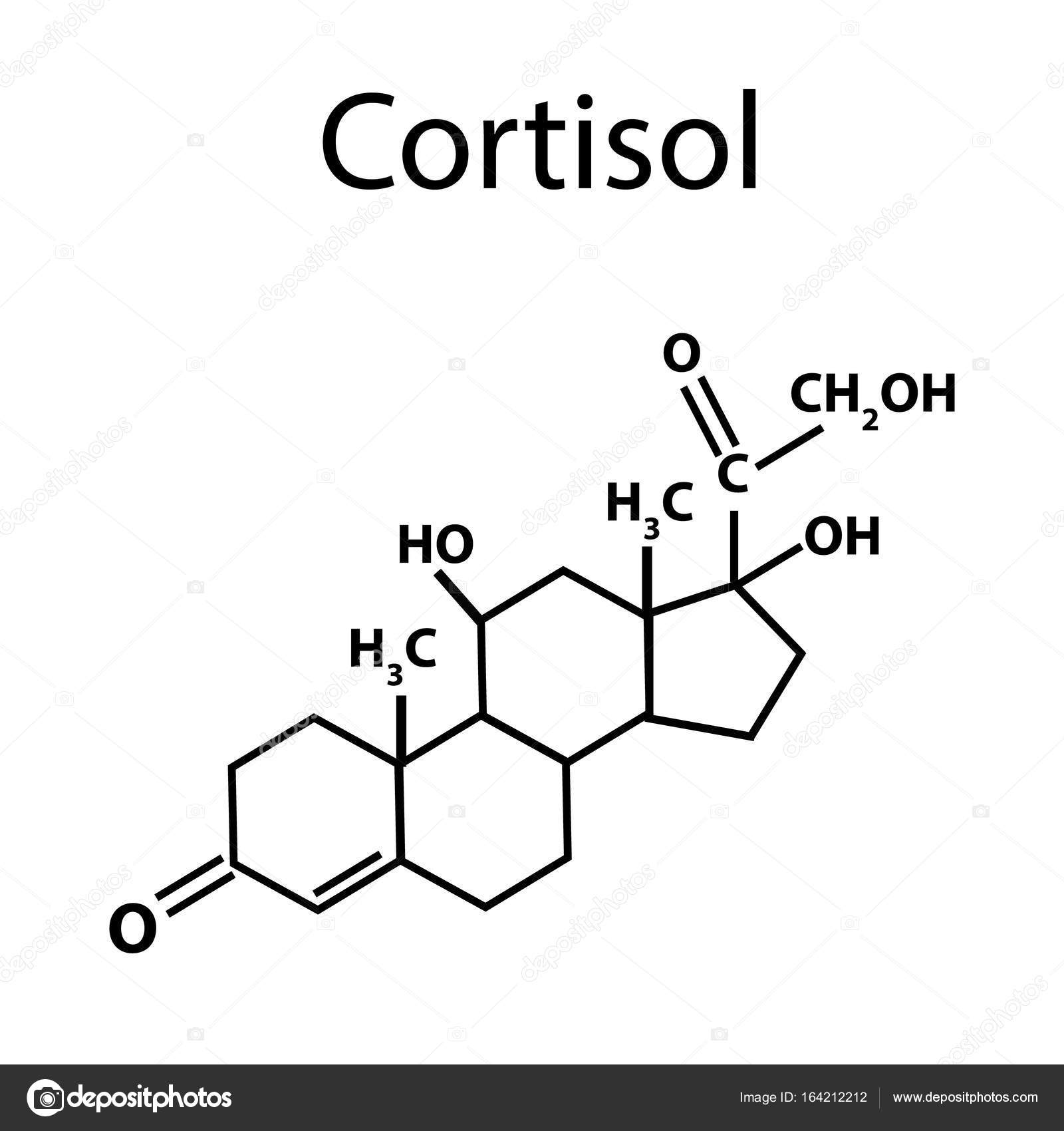 Kortizol veya Stres Hormonu Kortizol veya Stres Hormonu