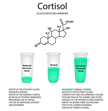 Chemical molecular formula of the hormone cortisol. The hormone of the adrenal glands. Decrease and increase of cortisol. Infographics. Vector illustration clipart