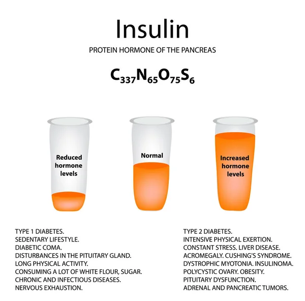 Fórmula molecular química de la hormona insulina. La hormona del páncreas. Disminución y aumento de la insulina. Infografías Ilustración vectorial — Vector de stock