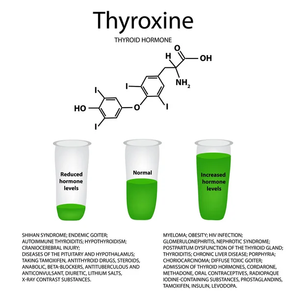 A fórmula molecular química do hormônio tiroxina. Hormônio da tireóide. Diminuição e aumento da tiroxina. Infográficos. Ilustração vetorial —  Vetores de Stock