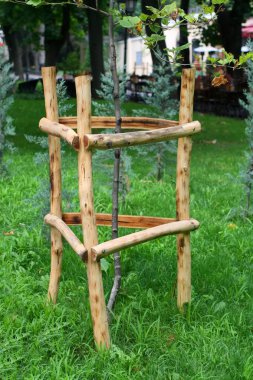 Ahşap çitler ağaçlar için. Ahşap için destek