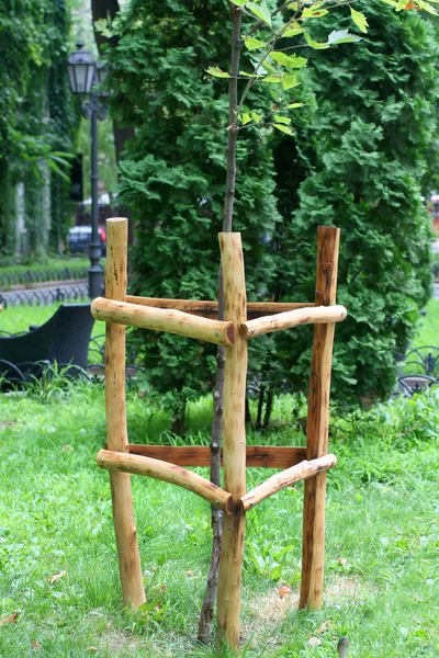 Ahşap çitler ağaçlar için. Ahşap için destek