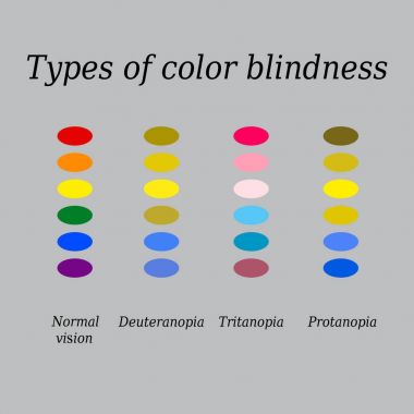 Types of color blindness. Eye color perception. Vector illustration on a gray background clipart