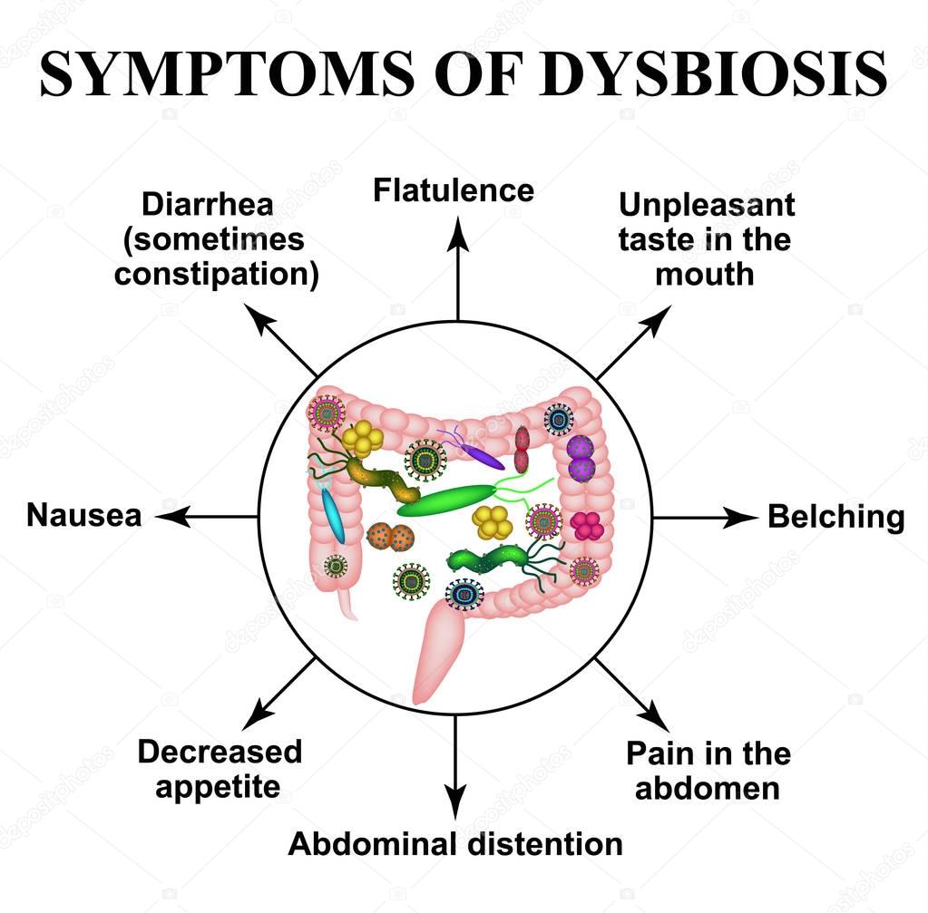 Symptoms of dysbiosis. Dysbacteriosis of the intestine. The large intestine. dysbiosis of colon. Bacteria, fungi, viruses. Infographics. Vector illustration on isolated background.