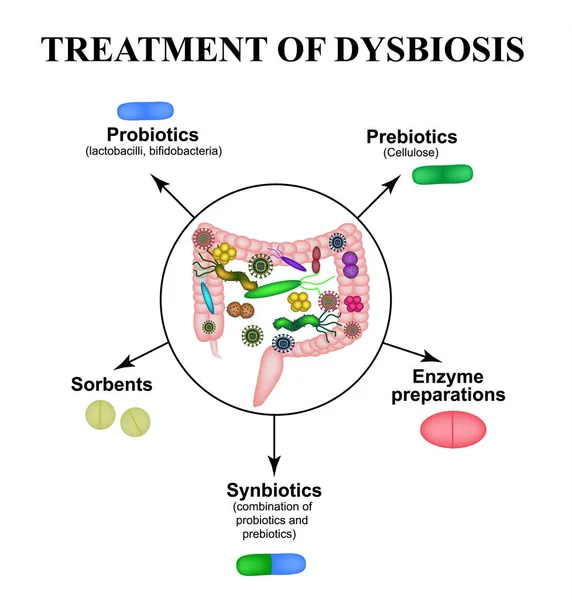 Tratamento da disbacteriose nos intestinos. Cólon. Bactérias flora patogénica. Infográficos. Ilustração vetorial sobre fundo isolado . — Vetor de Stock