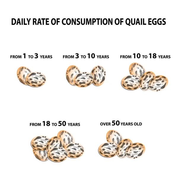 Norma comiendo huevos de codorniz. Dependiendo de la edad. Infografías. Ilustración vectorial sobre fondo aislado . — Vector de stock