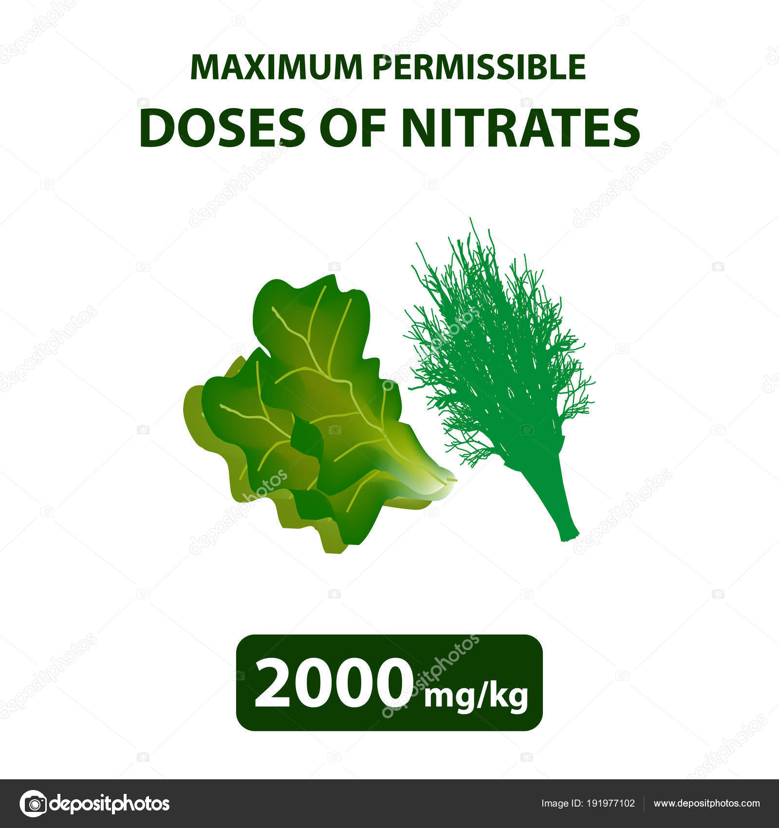 The maximum allowable dose of nitrates in dill, salad. Nitrates in