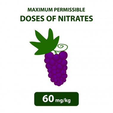 The maximum allowable dose of nitrates in grapes. Nitrates in vegetables and fruits. Infographics. Vector illustration on isolated background clipart