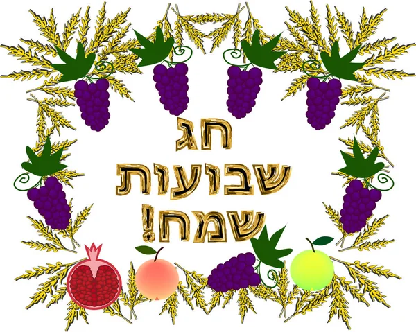 Postal en la fiesta judía Shavuot. La inscripción de oro en hebreo Shavuot Sameah en la traducción de la Shavuot feliz. Un marco hecho de espigas de trigo, frutas, manzanas, granada, uvas. Vector — Archivo Imágenes Vectoriales