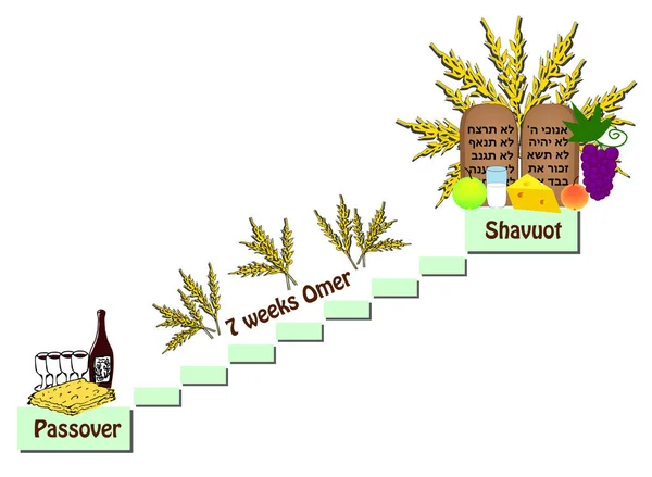 Fiesta de Shavuot. El recuento del Omer entre la Pascua y el Shavuot. Vino, matzo, fruta, leche, queso. Pergaminos de la Torá, Tablas de la Biblia, Diez Mandamientos Vector — Archivo Imágenes Vectoriales