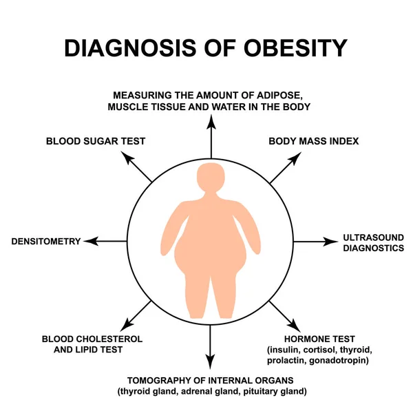 Diagnóstico de obesidad. Día Mundial de la Obesidad. La silueta de un gordo. Infografías. Ilustración vectorial sobre fondo aislado . — Vector de stock