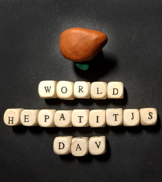 Día Mundial de la Hepatitis. Hígado y vesícula biliar. Inscripción de cubos de madera — Foto de Stock