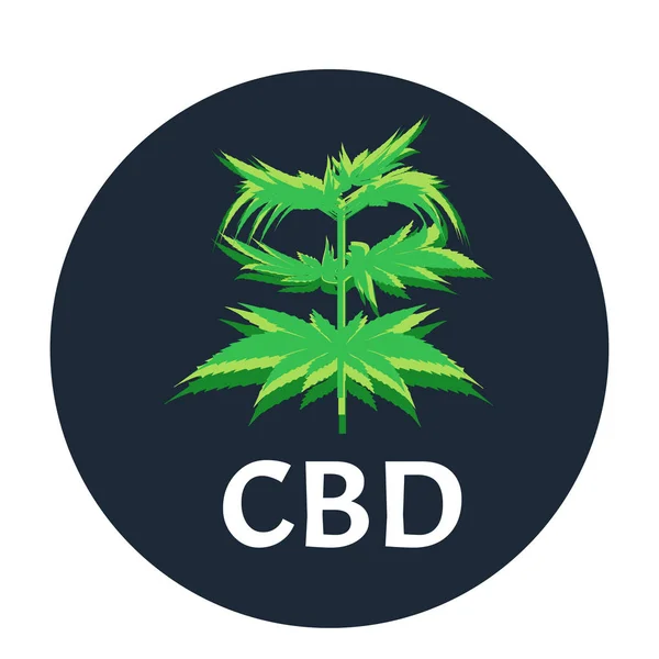 Ícones de maconha cbd. Logotipo de canabinóide. Óleo de folha de maconha. Óleo de cânhamo. Ilustração vetorial sobre fundo isolado . — Vetor de Stock