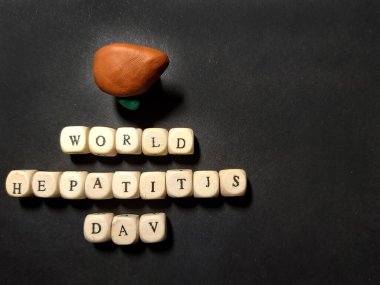 Dünya Hepatit Günü. Karaciğer ve safra kesesi. Tahta küpler yazıtlar