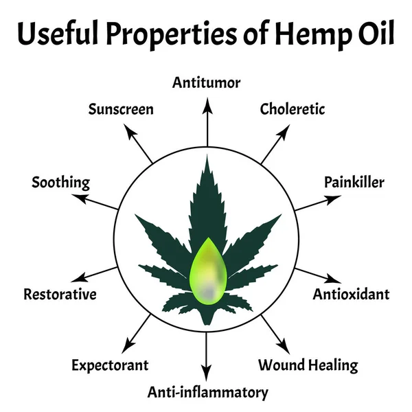 Propriedades úteis de óleo de cânhamo. Ícones de maconha cbd. Logotipo de canabinóide. Folhas de maconha. Óleo de cânhamo. Infográficos. Ilustração vetorial sobre fundo isolado . — Vetor de Stock