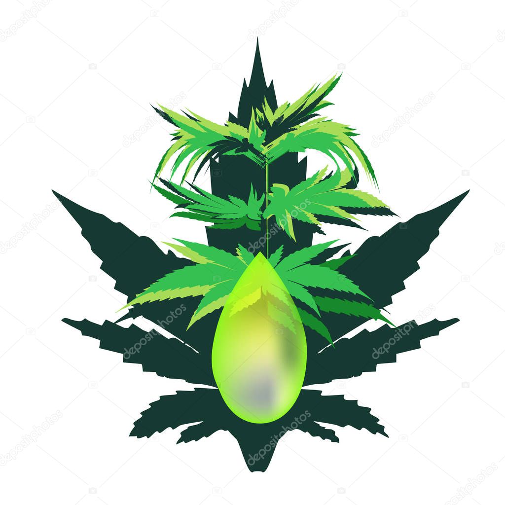hemp oil. Marijuana icons cbd. Cannabinoid logo. Marijuana Leaves. Hemp oil. Infographics. Vector illustration on isolated background.