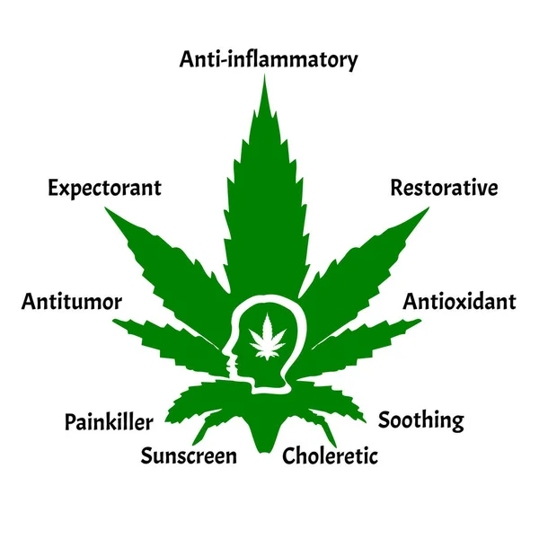 麻油的有用特性。 大麻的图标cbd 。 大麻素标志。 大麻叶。 大麻油。 信息图形。 孤立背景下的矢量说明. — 图库矢量图片