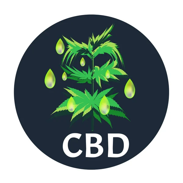 Ícones de maconha cbd. Logotipo de canabinóide. Óleo de folha de maconha. Óleo de cânhamo. Ilustração vetorial sobre fundo isolado . — Vetor de Stock