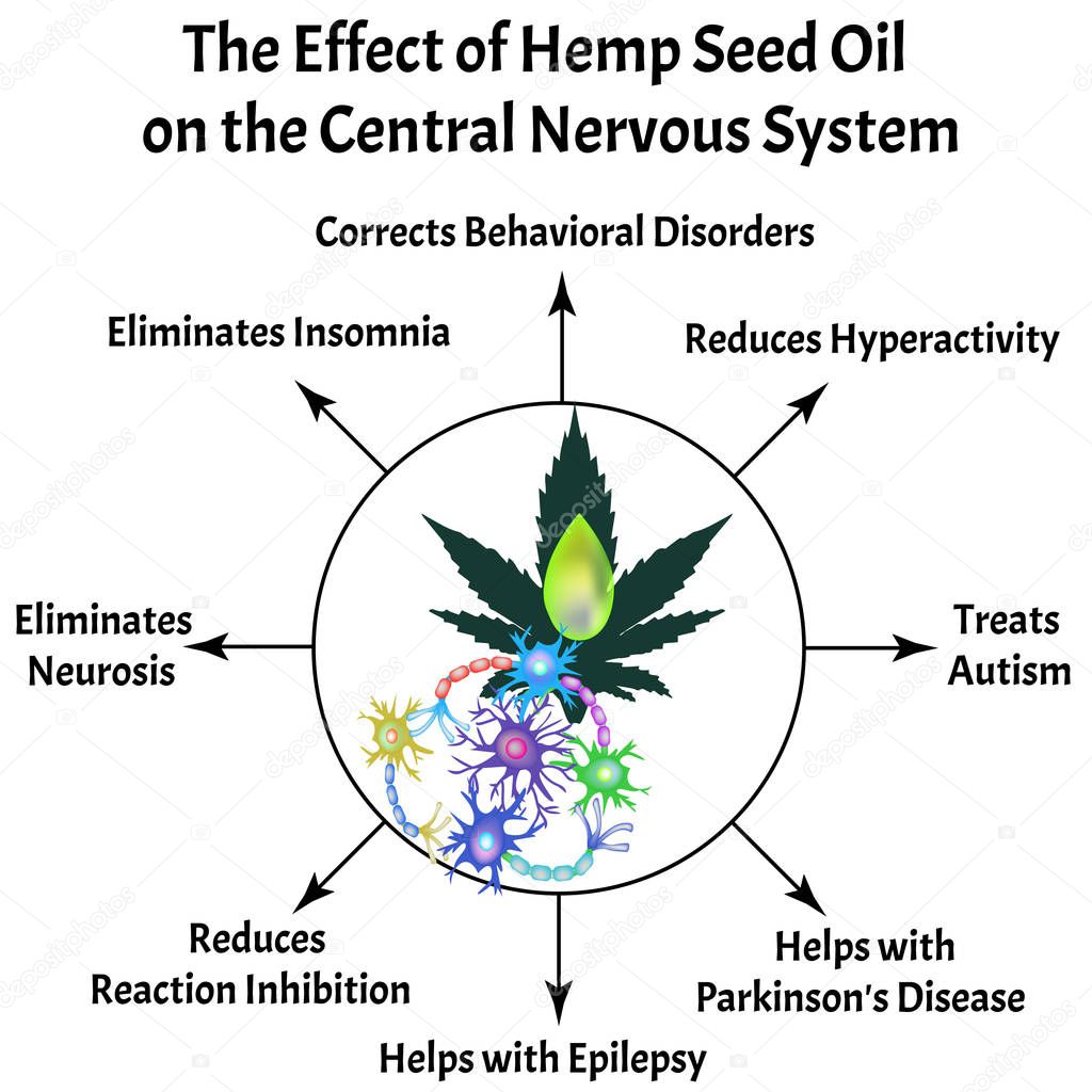 The effect of hemp seed oil on the central nervous system. Synapses of neurons. Neural communications background. Synapse communication neuron. Vector illustration on isolated background.