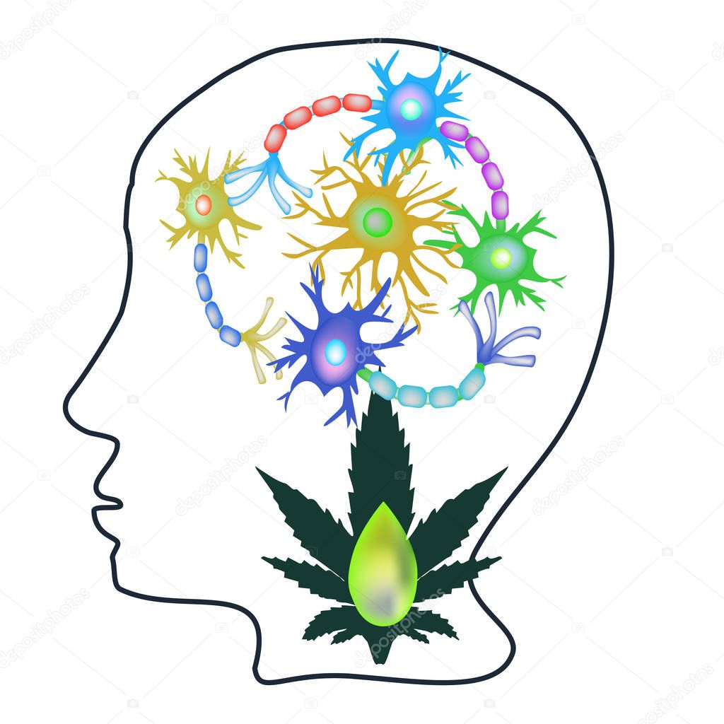 The effect of hemp seed oil on the central nervous system. Synapses of neurons. Neural communications background. Synapse communication neuron. Vector illustration on isolated background.