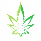 Marijuana icons cbd. Cannabinoid logo. Marijuana leaf oil. Hemp oil. Vector illustration on isolated background.