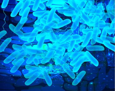 Arka planda mavi laktobacillus, bifidobakteri, probiyotik, prebiyotik. Bilgi grafikleri. İzole edilmiş arkaplanda vektör illüstrasyonu.