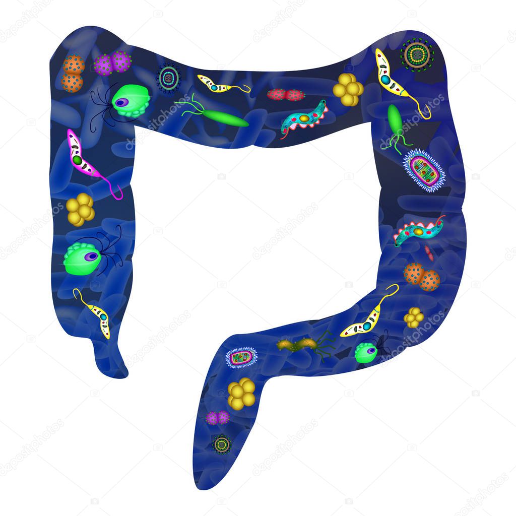 Pathogenic microflora in the intestine. Dysbacteriosis. Dysbiosis. Killed the good bacteria flora in the colon. Infographics. Vector illustration on isolated background.