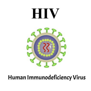 HIV virüsü yapısı. Viral enfeksiyon Hiv, Aids. Cinsel yolla bulaşan hastalıklar. Bilgi grafikleri. İzole edilmiş arkaplanda vektör illüstrasyonu.