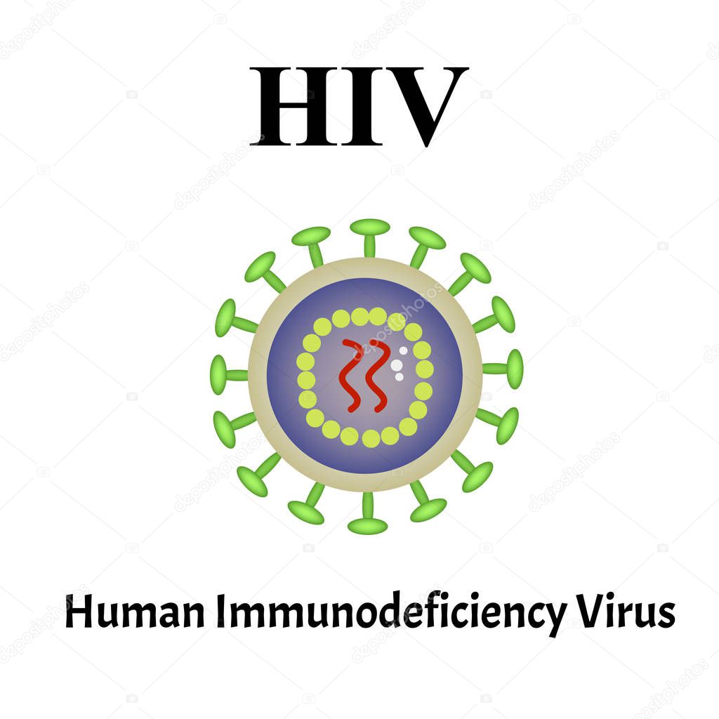 HIV virus structure. Viral infection HIV, AIDS. Sexually transmitted diseases. Infographics. Vector illustration on isolated background.