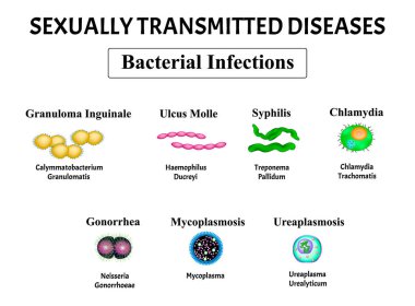 Frengi, spirochaete, Treponema, Gonococcus, Gonorrhea, Chlamydia, Mycoplasma, Ureaplasma Bakteriyel enfeksiyon seti. Cinsel yolla bulaşan hastalıklar. Bilgi grafikleri. Vektör illüstrasyonu