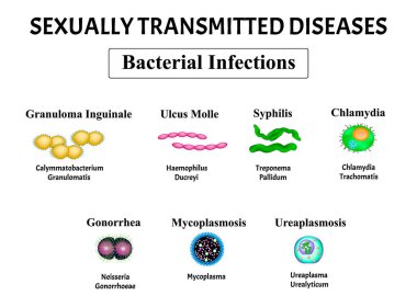 Syphilis, spirochaete, Treponema, Gonococcus, Gonorrhea, Chlamydiosis, Chlamydia, Mycoplasma, Ureaplasma Bacterial infection set. Sexually transmitted diseases. Infographics. Vector illustration clipart