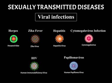 HIV, herpes, papillomavirus, AIDS, hepatit, sitomegalovirüs, Zika virüsü. Bir dizi viral enfeksiyon. Cinsel yolla bulaşan hastalıklar. Bilgi grafikleri. Vektör illüstrasyonu