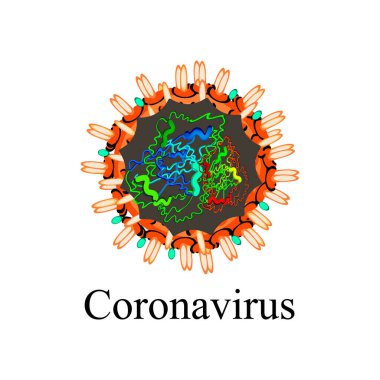 Coronavirus. Çin koronavirüsünün yapısı. Grip virüsü. Grip. İzole edilmiş arkaplanda vektör illüstrasyonu.