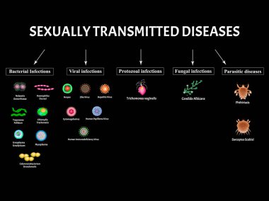 Hiv, herpes, papilloma, hepatit, sitomegalovirüs, Zika. Virüs enfeksiyonlarını ayarlayın. Frengi, Gonococcus, Chlamydiosis, Chlamydia, Mycoplasma, Ureaplasma Bacterial. Cinsel yolla bulaşan hastalıklar. Vektör
