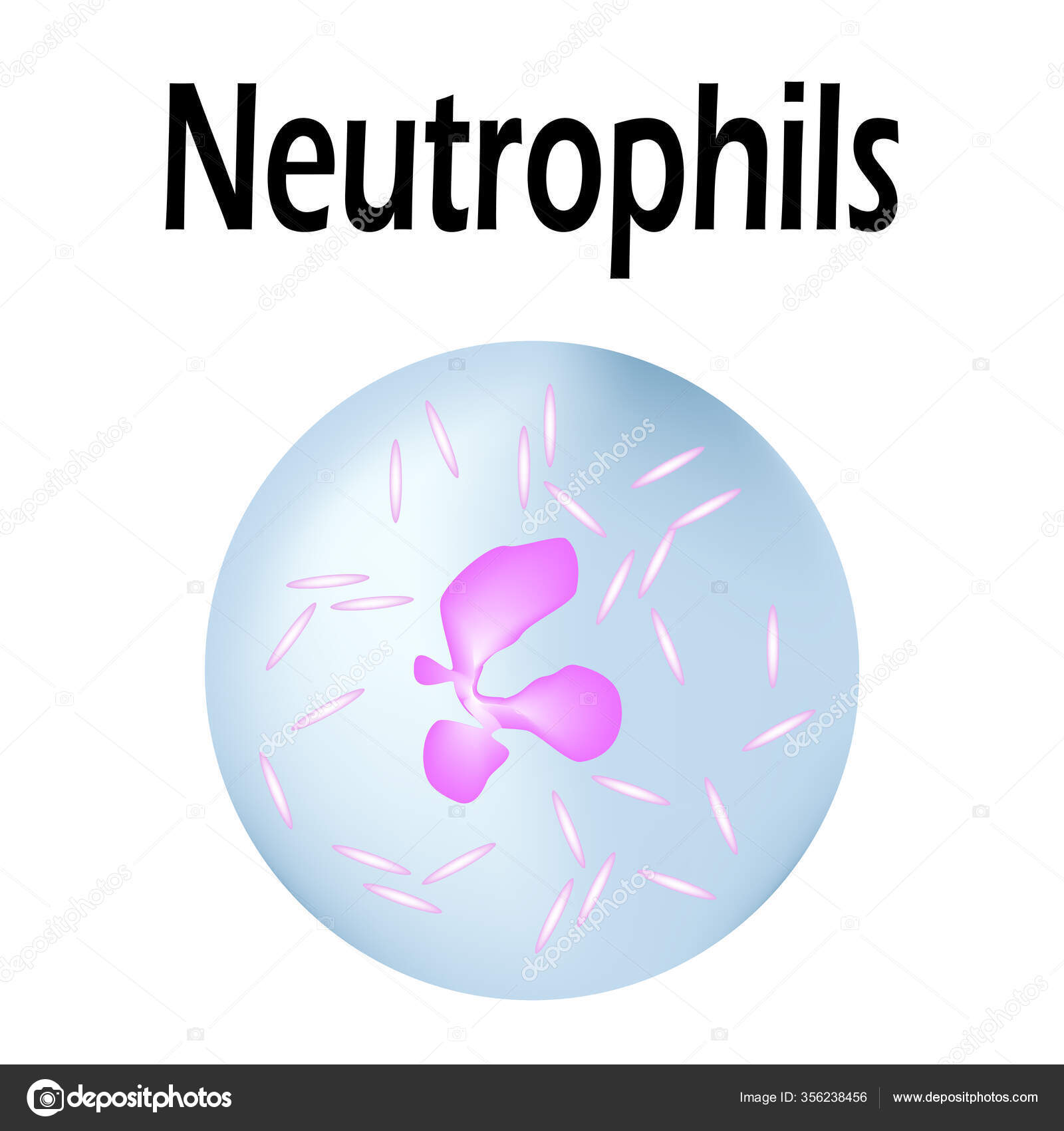 Finurlige fakta om kroppen by Memo Forlag - Issuu, image size:1600x1700