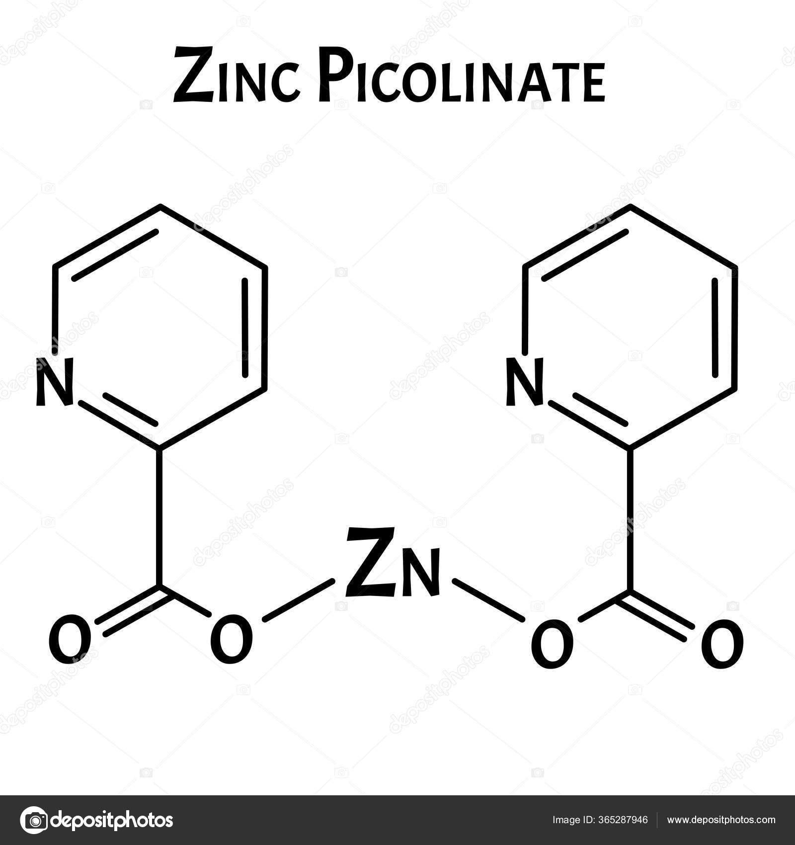 Zinc picolinate molecular chemical formula. Zinc infographics. Vector