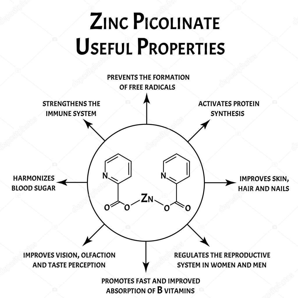 Zinc picolinate useful properties molecular chemical formula. Zinc infographics. Vector illustration on isolated background.
