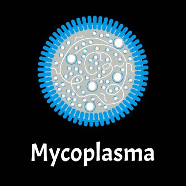 Mycoplasma. Bacterial infections Mycoplasma. Sexually transmitted diseases. Infographics. Vector illustration on isolated background. clipart